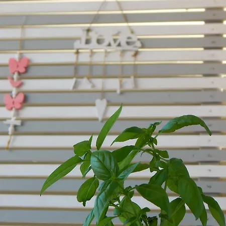 Kehagias Apartment *